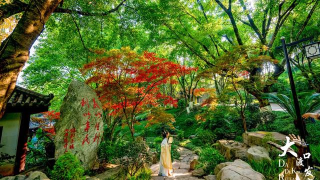 大渡口冬日“顶流”红了