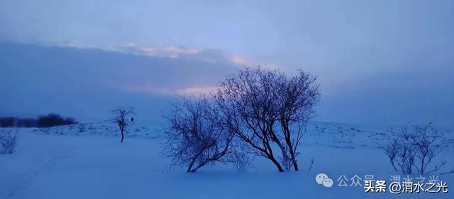 【内蒙古】塔娜:雪落草原,岁暖大雪