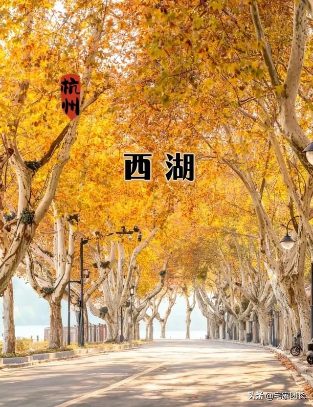 去了N次杭州，终于明白西湖边为啥永远人挤人
