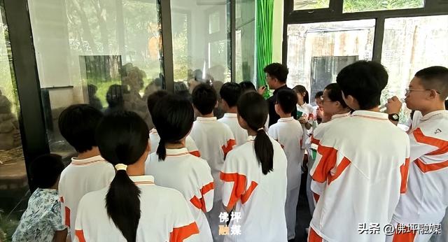 “全域课堂”带动佛坪研学热