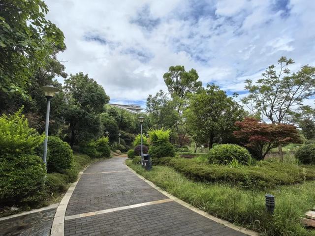 秀北山森林公园改造施工中！大理将添浪漫新地标