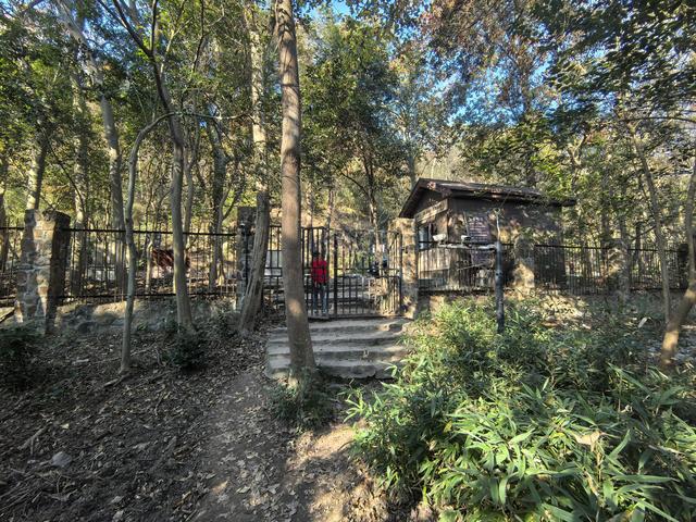 南京紫金山郊野徒步