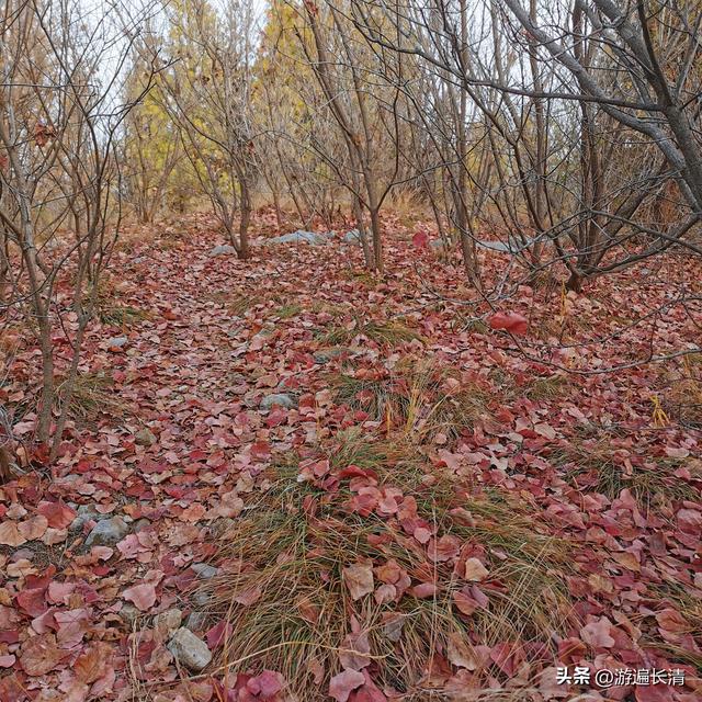 &066.探路北道沟（上）