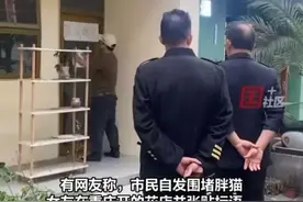 又反转了？21岁小伙跳江后续：谭某再发声，前女友自责谈相处细节图片
