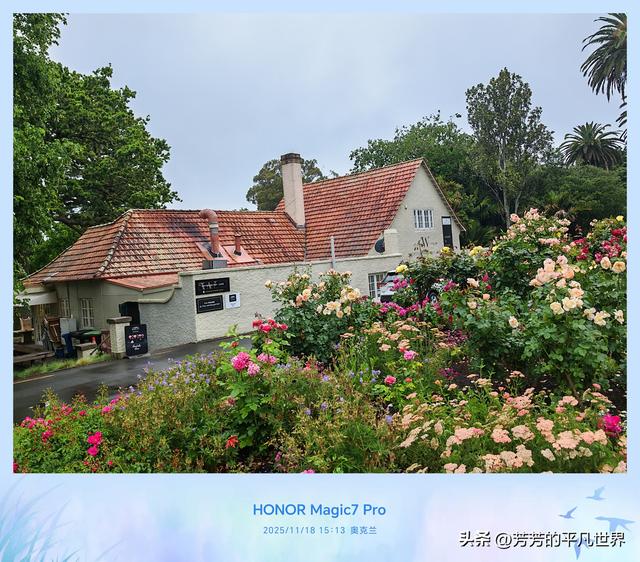 奥克兰中心花园的浪漫