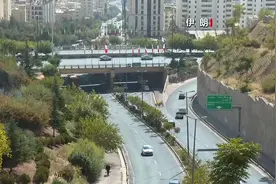 国际原子能机构总干事：没有证据显示伊朗计划制造核武器图片