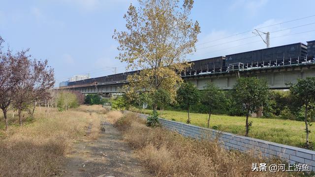 漯河历史文化遗迹之郝家台遗址