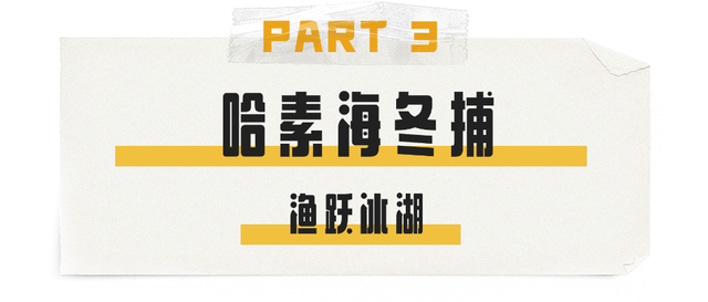 “顶流”回归！今冬在呼和浩特怎么玩？官方攻略出炉！