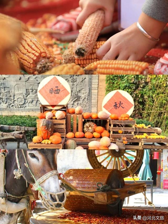 秋日旅行的天花板！保定这座小镇的深秋美极了