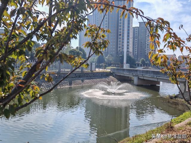 生物浮岛扮靓云梦水域 初冬亲水空间引客来