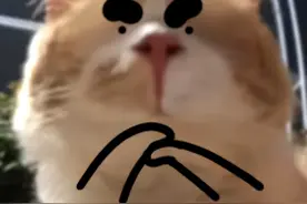 “因为一个三明治，差点被判3年有期徒刑....” 日本入境违禁清单图片