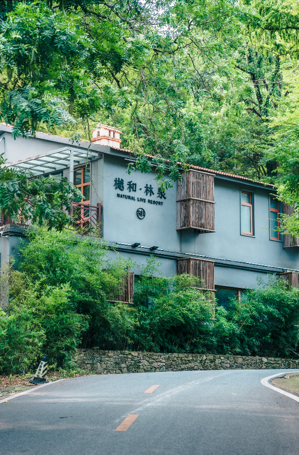 黄陂秋日限定｜松弛感满分的小众玩法！
