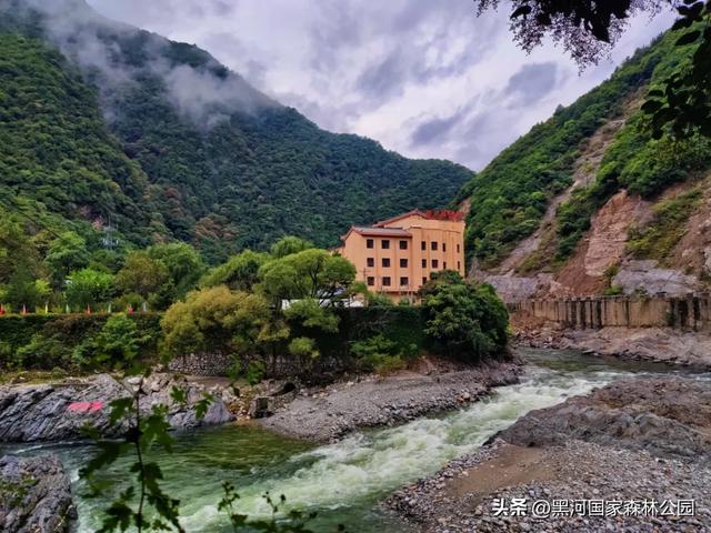 美如仙境！邀您共赏雨中的黑河国家森林公园~