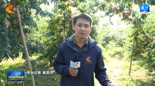 多彩假日 乐享河北丨红色旅游热度攀升 特色体验焕新
