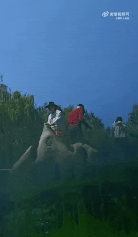 被济南泉水下的世界惊艳到了！