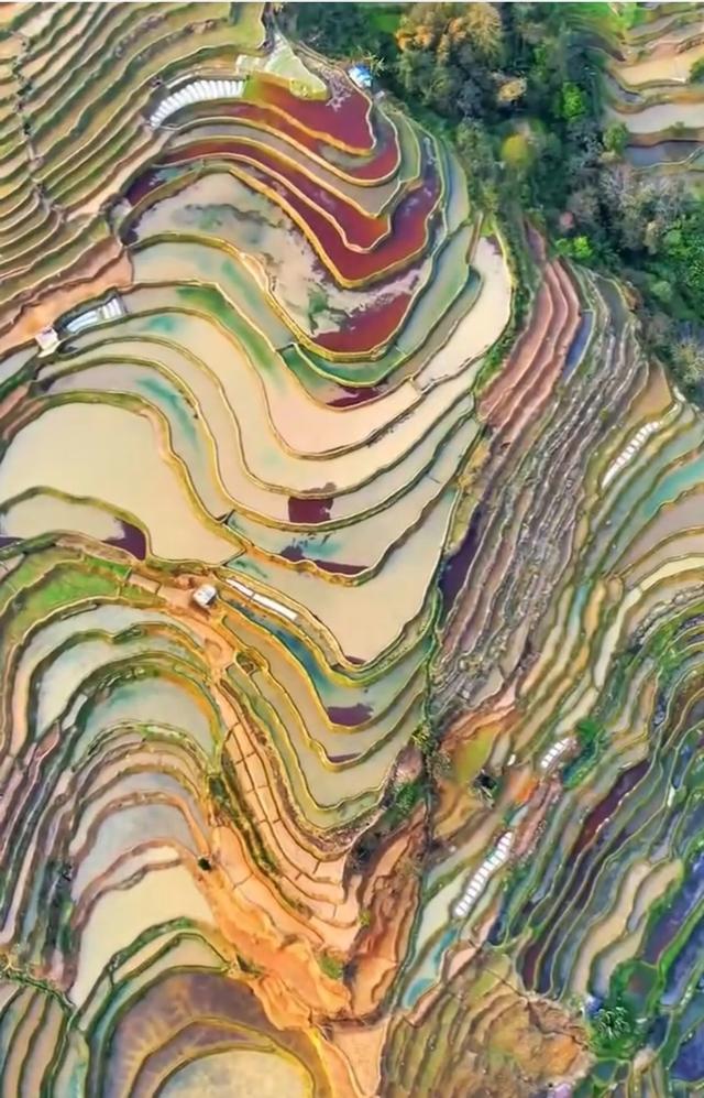 镜映千年元阳哈尼梯田