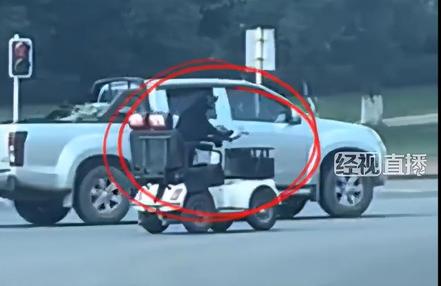 媒体：“狗开车”不是趣闻是险情