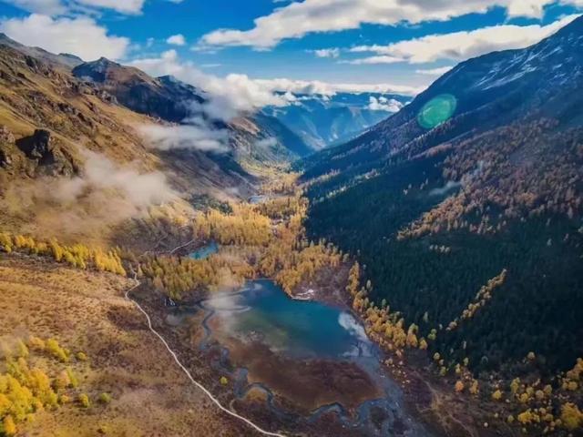 接下来，小金是这样的~