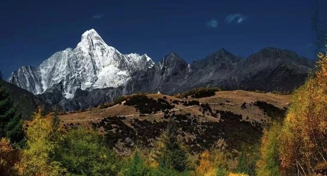 接下来，小金是这样的~