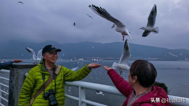 每日一景|漫步滇池湖畔·与海鸥共舞