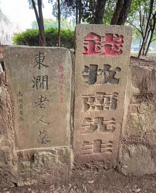 这座我去了又去的江南小城，魅力实在太大了