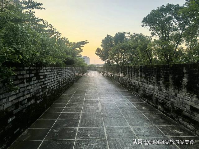 惠州“最后”的古城墙，完好的300多米，榕树穿墙而生，像留城魂