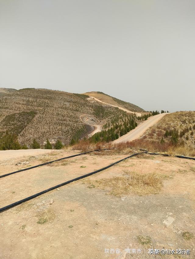 金帜山下唐·景陵