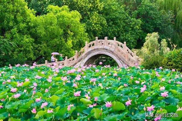 “磕”学来了！你觉得哪些保定景点最具CP感？