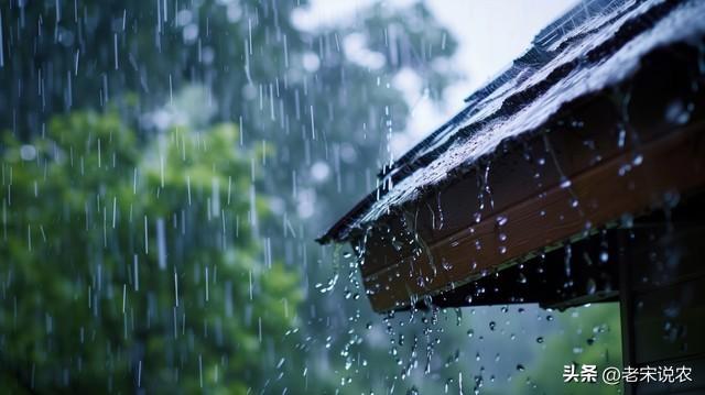 台风已登陆，大雨暴雨特大暴雨中心已锁定！今晚-22日全国天气