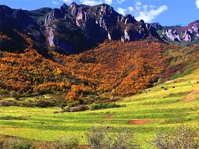 【联动宣传】十月，定西把秋天画成了油画