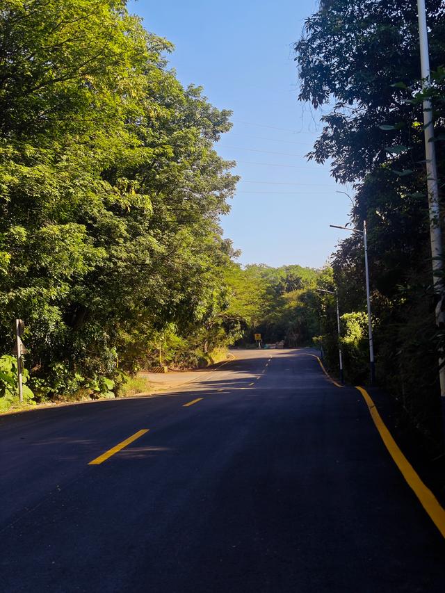 塘朗山郊野公园[绿平二路入口]骑行爬坡好地方