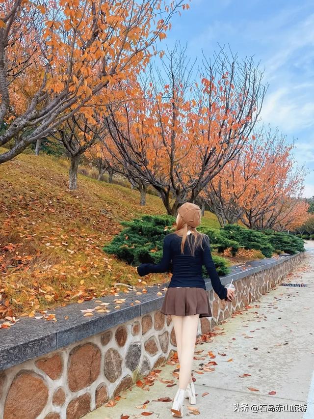 2025赤山红叶节圆满收官，明年再赴这场山海红韵之约！