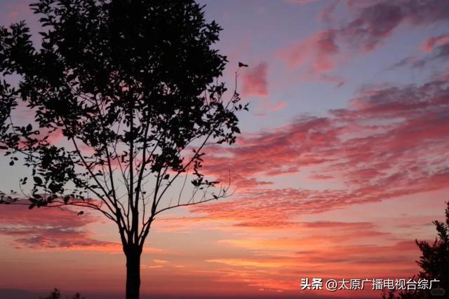 山西的秋是立秋以后的秋