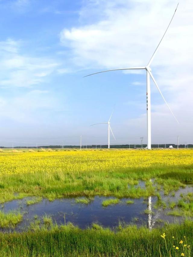 又见彩虹！雨后的石油美景~
