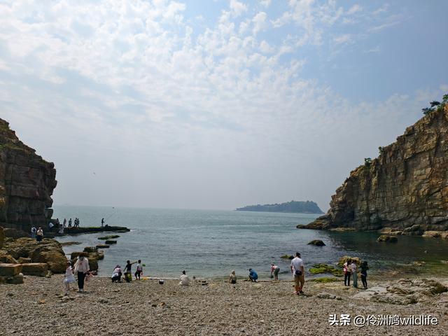 大连海之韵公园·棒槌岛