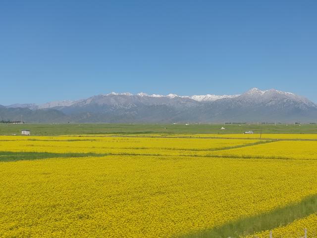 北疆行⑰——逛乌鲁木齐大巴扎