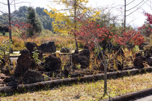 腾冲游之火山地质公园