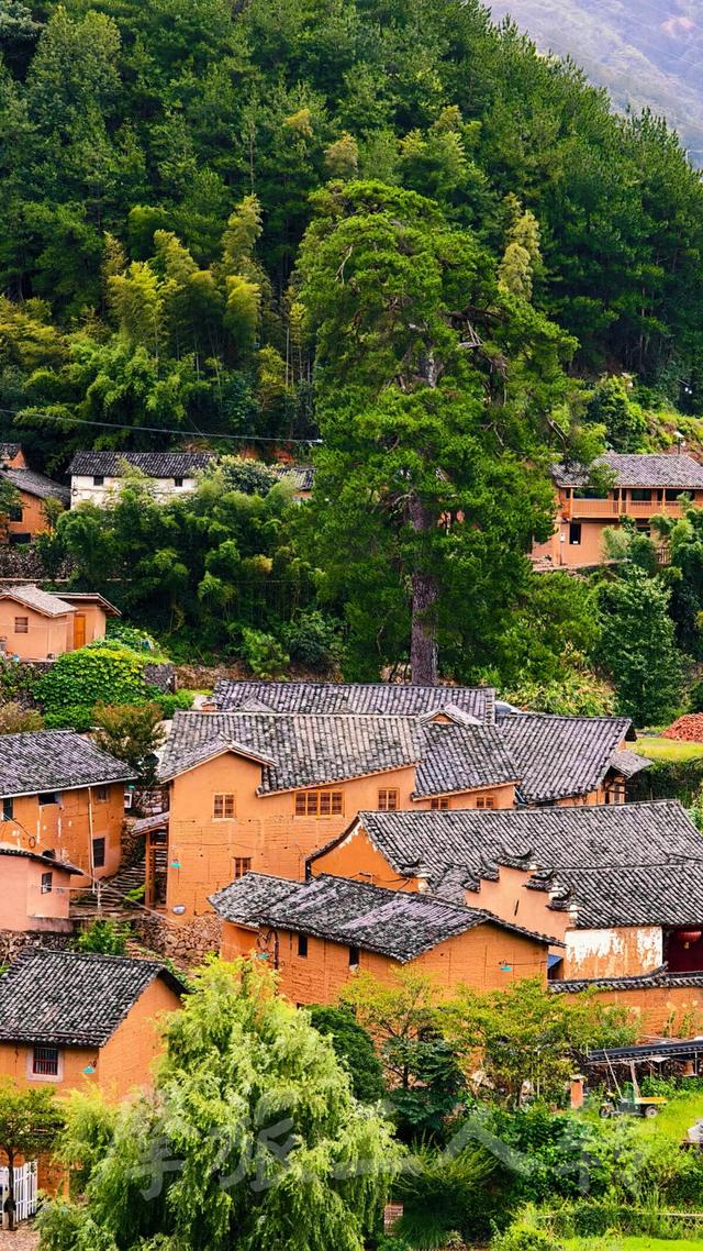 皖浙摩旅二人转——松阳陈家铺篇（上）