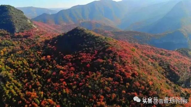 刷屏了！晋城“新顶流”！