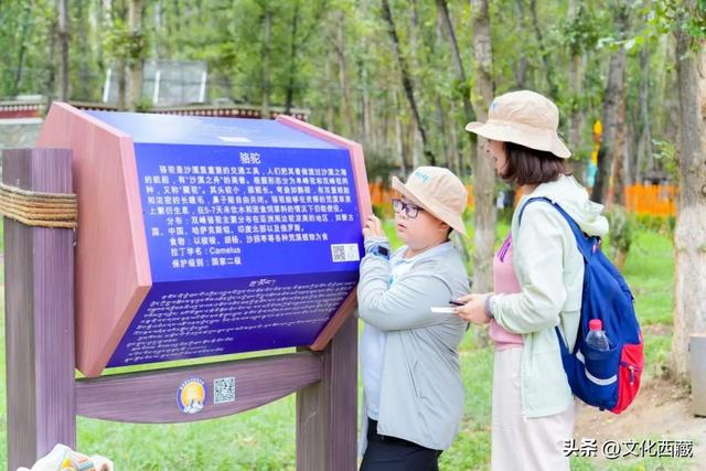 8-9月带孩子在西藏，上一堂终身难忘的亲子课！
