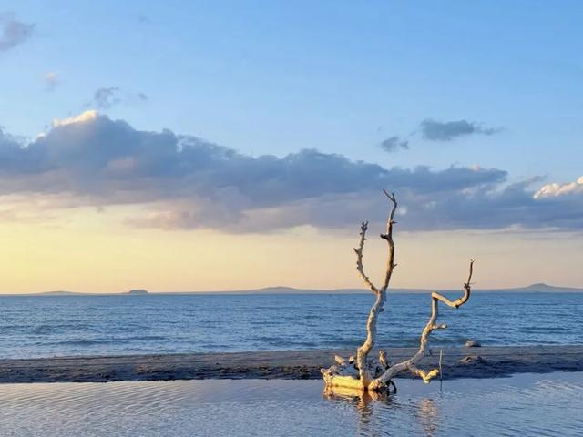 秋日自驾的神！京圈2h可达的皇家后花园，唯一缺点是“花期”太短