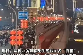纯爱战士要绝种了＂胖猫＂ 网友：到死都谈不到的男人，被她谈死了图片
