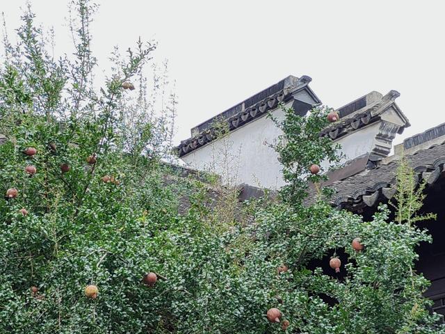 在山塘街的秋风微雨中，步入繁华了百年的商脉之门！