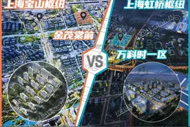 别说宝山，连内环内都没见过同时有这么多规划利好的板块！图片