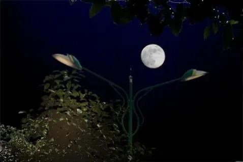 仲夏之夜