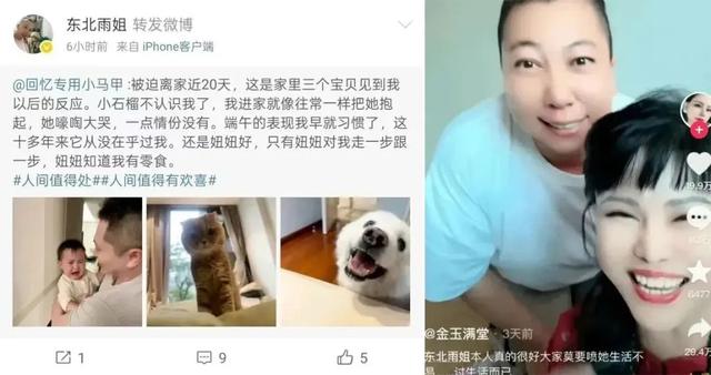 怒砸400万！疯狂小杨哥有新动静了！