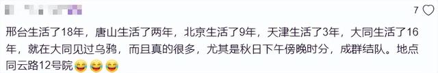 密密麻麻！山西一地乌鸦满天飞，地震前兆？