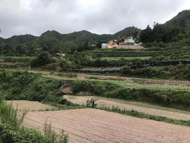 从云南山寨到都市白领，当她抛房离婚回村，野性如何战胜规训？