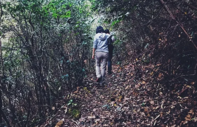 野外仅存600多只！浙江4人徒手抓26只	，价值10多万