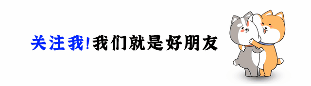 探秘临邛古城：穿越2300年的时光画卷